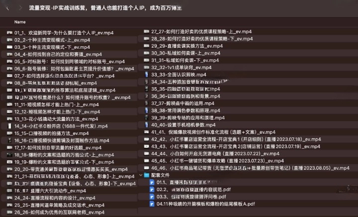 流量变现 IP 实战训练营：普通人也能打造个人 IP，成为百万博主