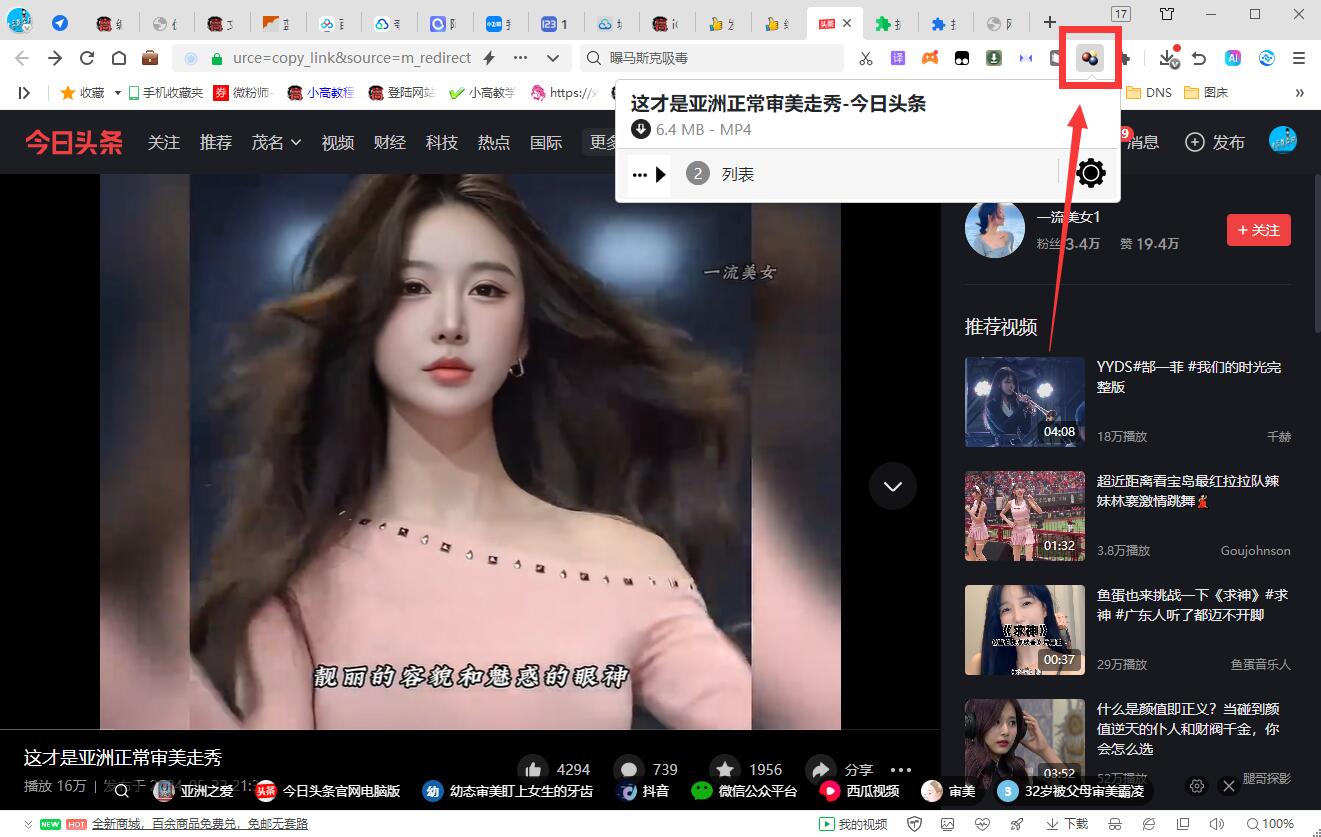 video downloadhelper v7.3.5.0 高级版网页视频下载神器