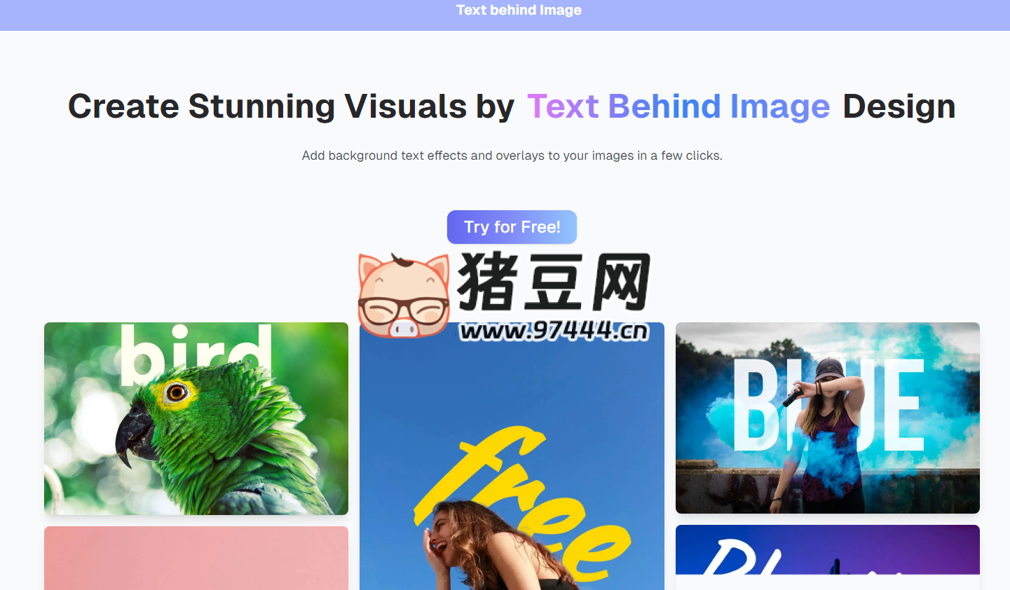 VisiBehind：在线为图片轻松添加文字背景