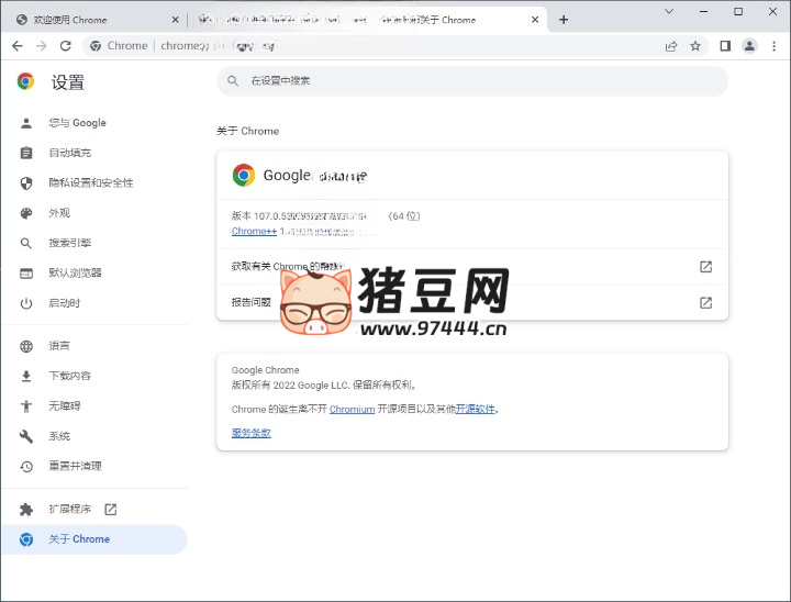 Google Chrome 谷歌浏览器 v131.0.6778.265 增强版