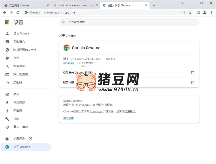 Google Chrome 谷歌浏览器 v132.0.6834.111 增强版