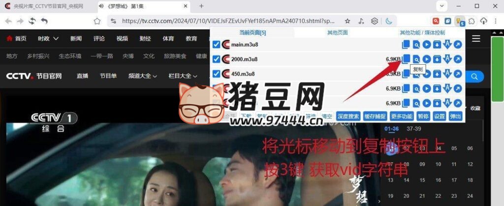 央视视频下载器 v4.0 绿色版